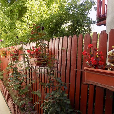 Pension Eden Băile Herculane Εξωτερικό φωτογραφία