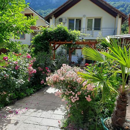 Pension Eden Băile Herculane Εξωτερικό φωτογραφία