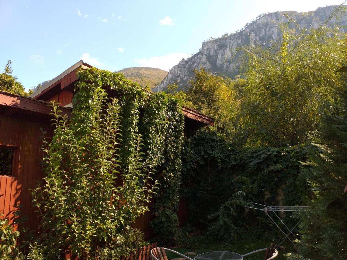 Pension Eden Băile Herculane Εξωτερικό φωτογραφία
