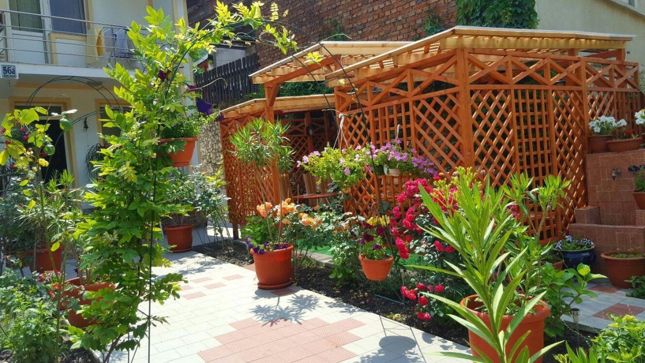 Pension Eden Băile Herculane Εξωτερικό φωτογραφία