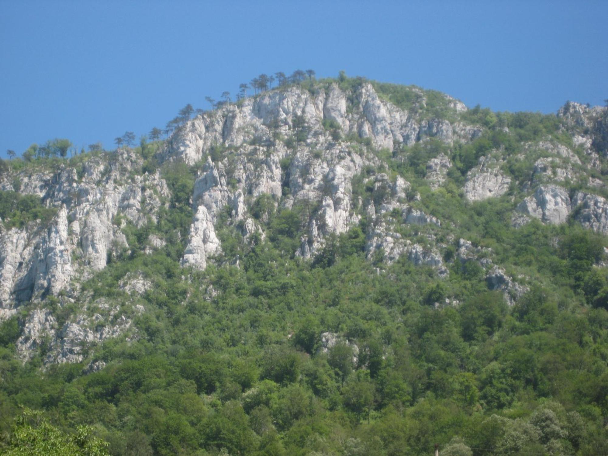 Pension Eden Băile Herculane Εξωτερικό φωτογραφία