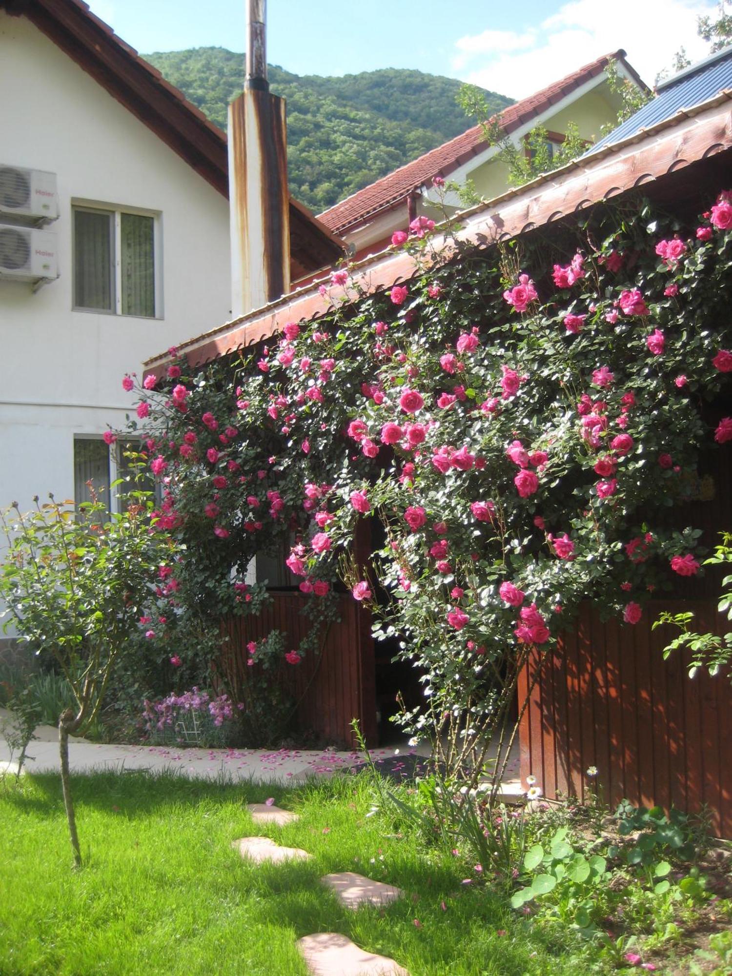 Pension Eden Băile Herculane Εξωτερικό φωτογραφία