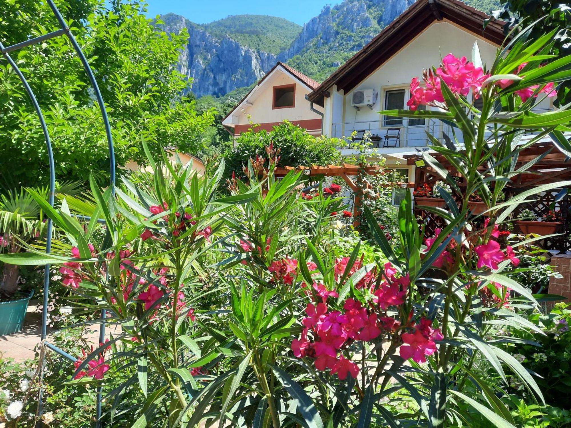 Pension Eden Băile Herculane Εξωτερικό φωτογραφία