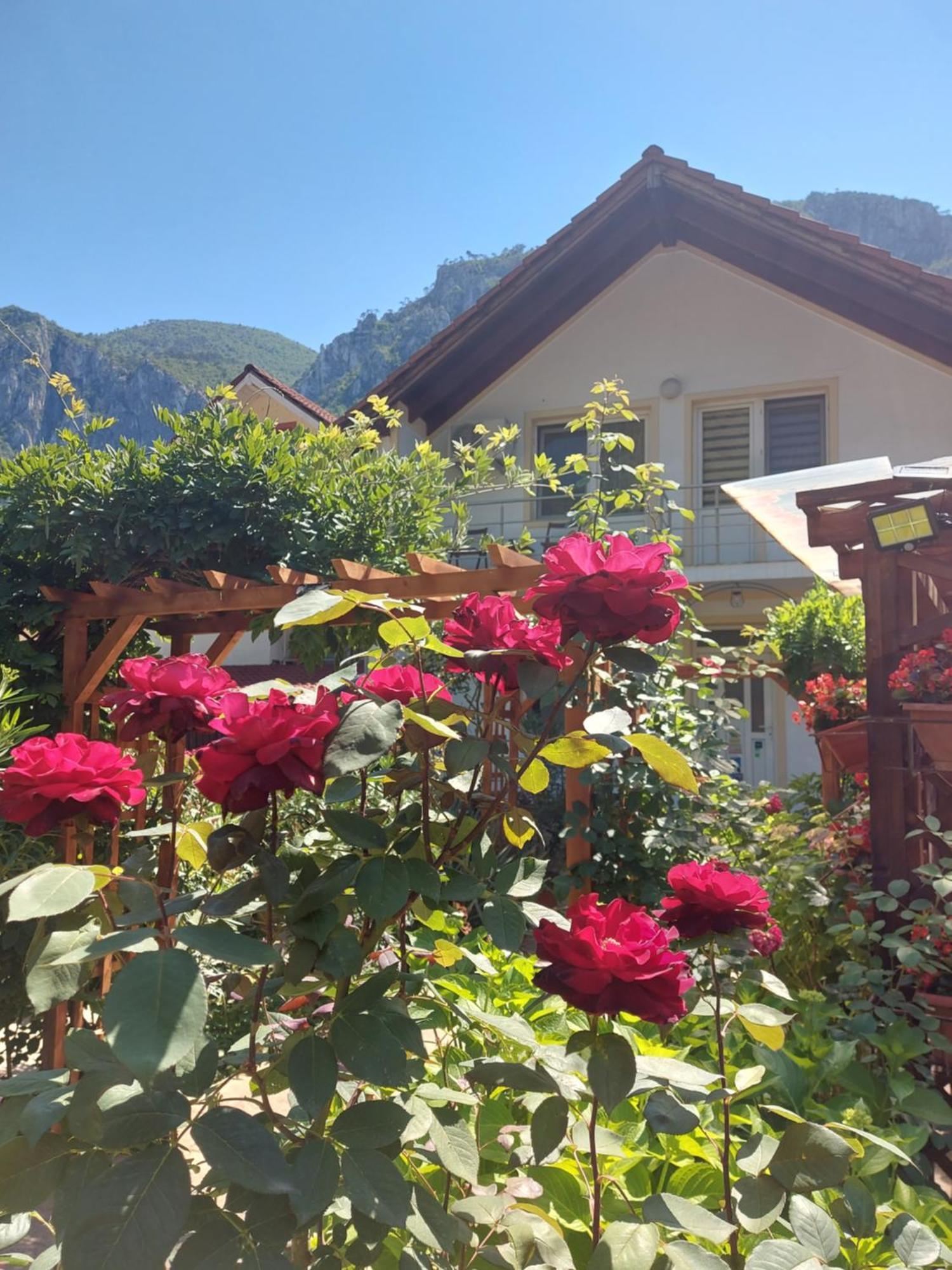 Pension Eden Băile Herculane Εξωτερικό φωτογραφία