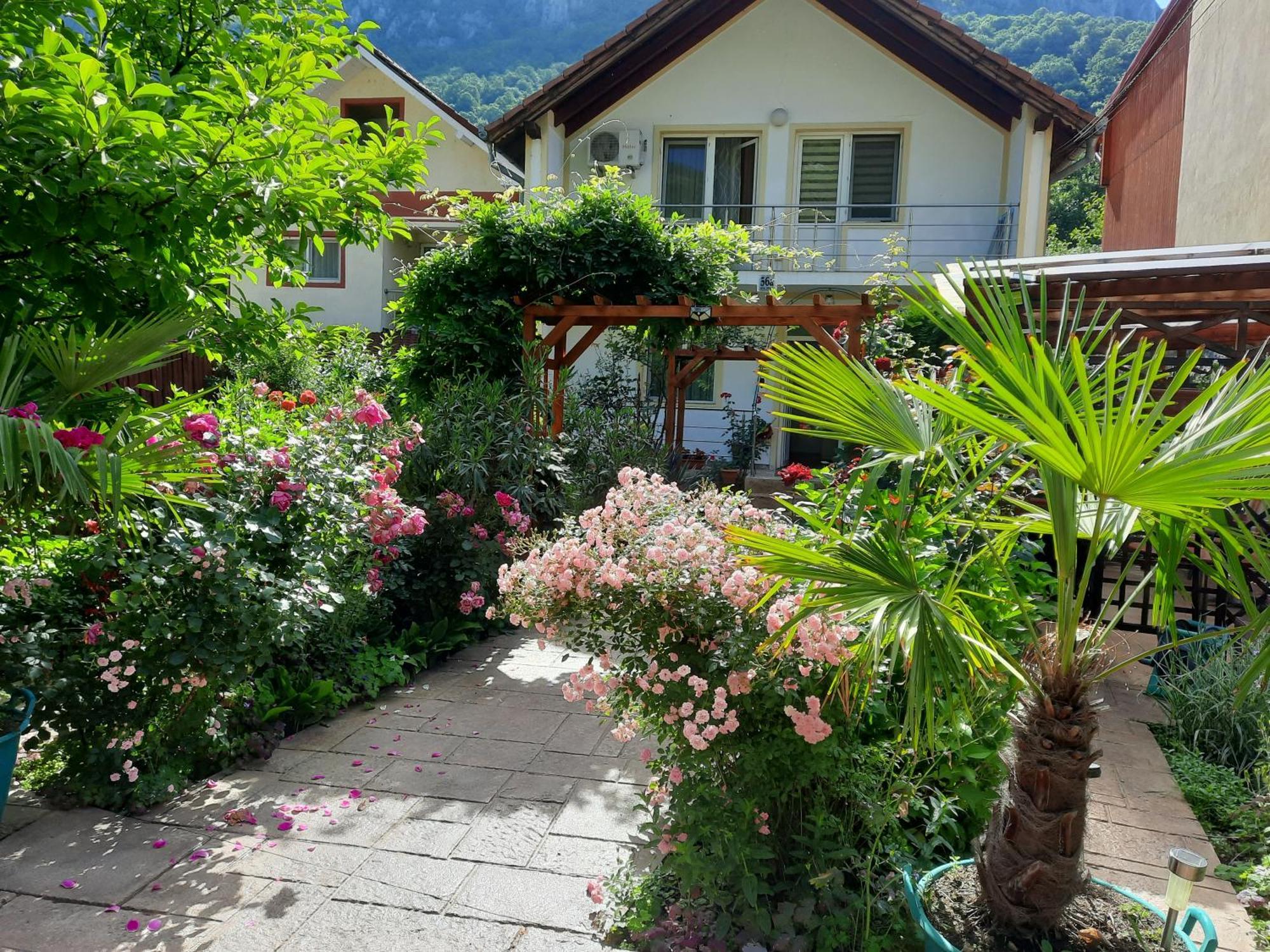 Pension Eden Băile Herculane Εξωτερικό φωτογραφία
